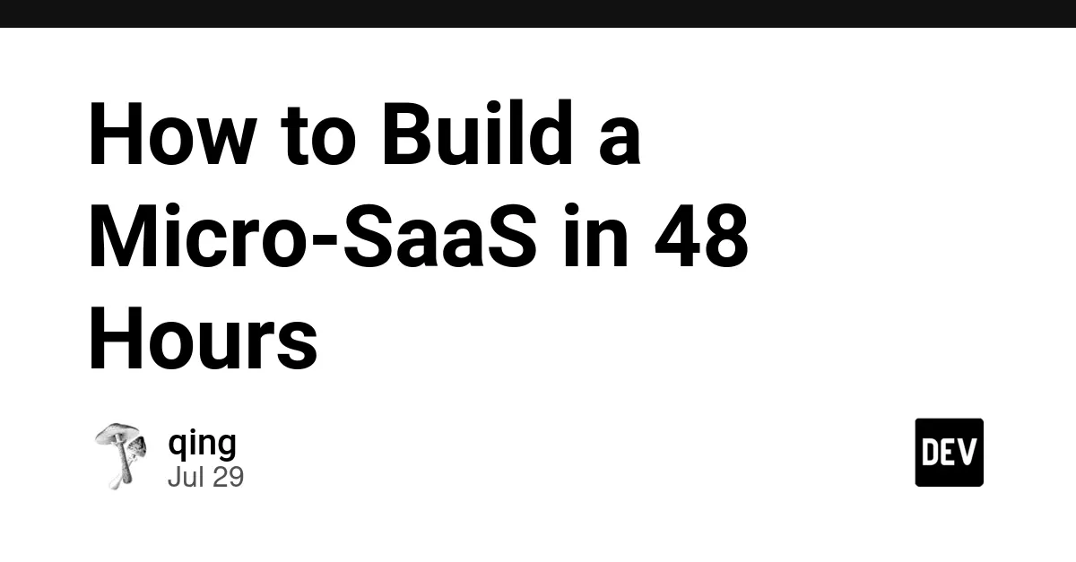 48小时快速构建微型SaaS软件